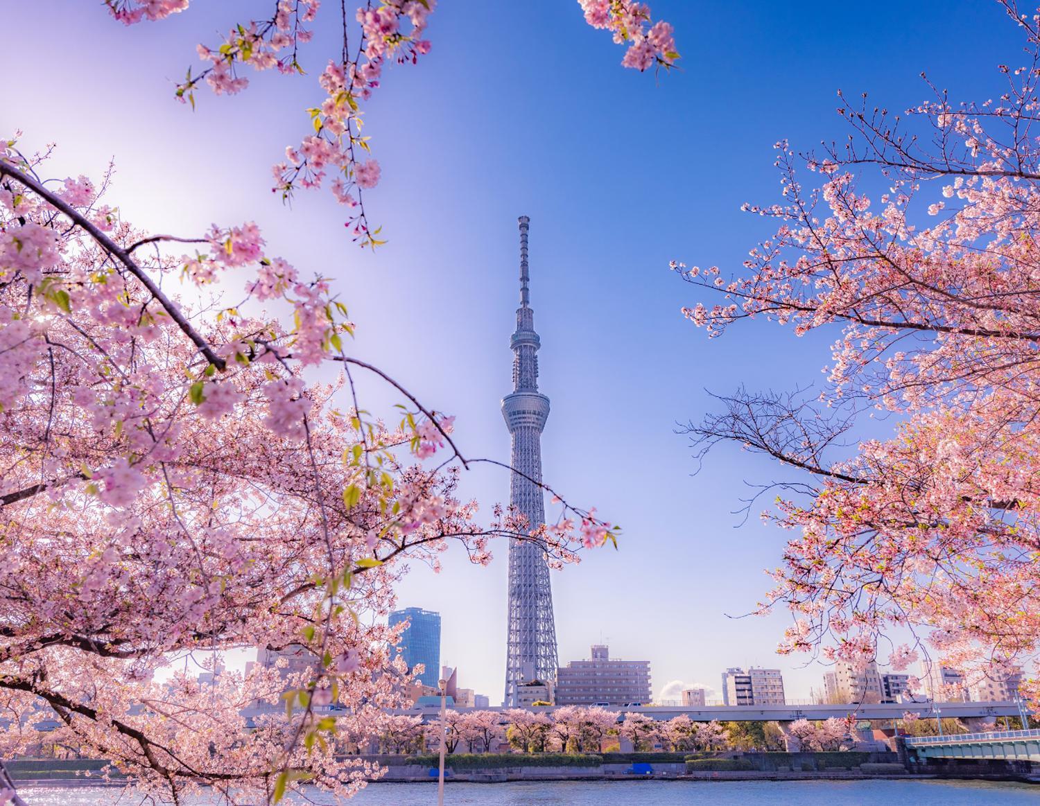 Apartamento Grand Tree Skytree View Rooftop Asakusa Walk Tokio
